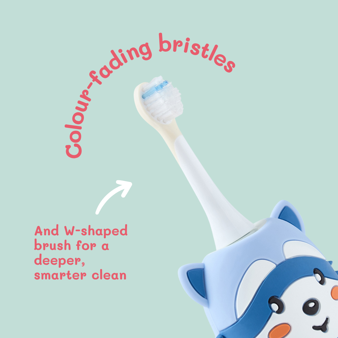 Zoo Toothbrush - Racoon