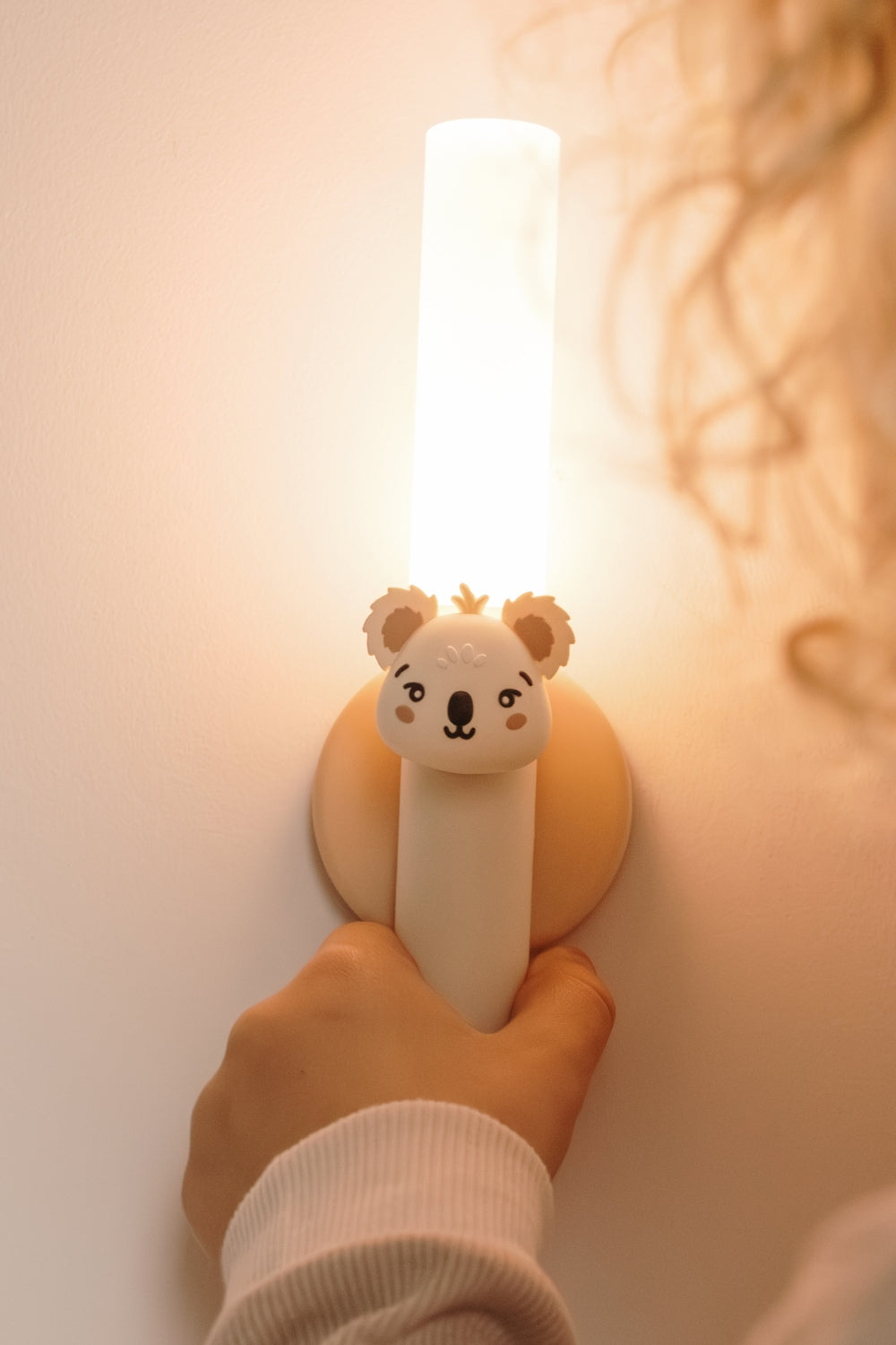 Zoo Light - Koala
