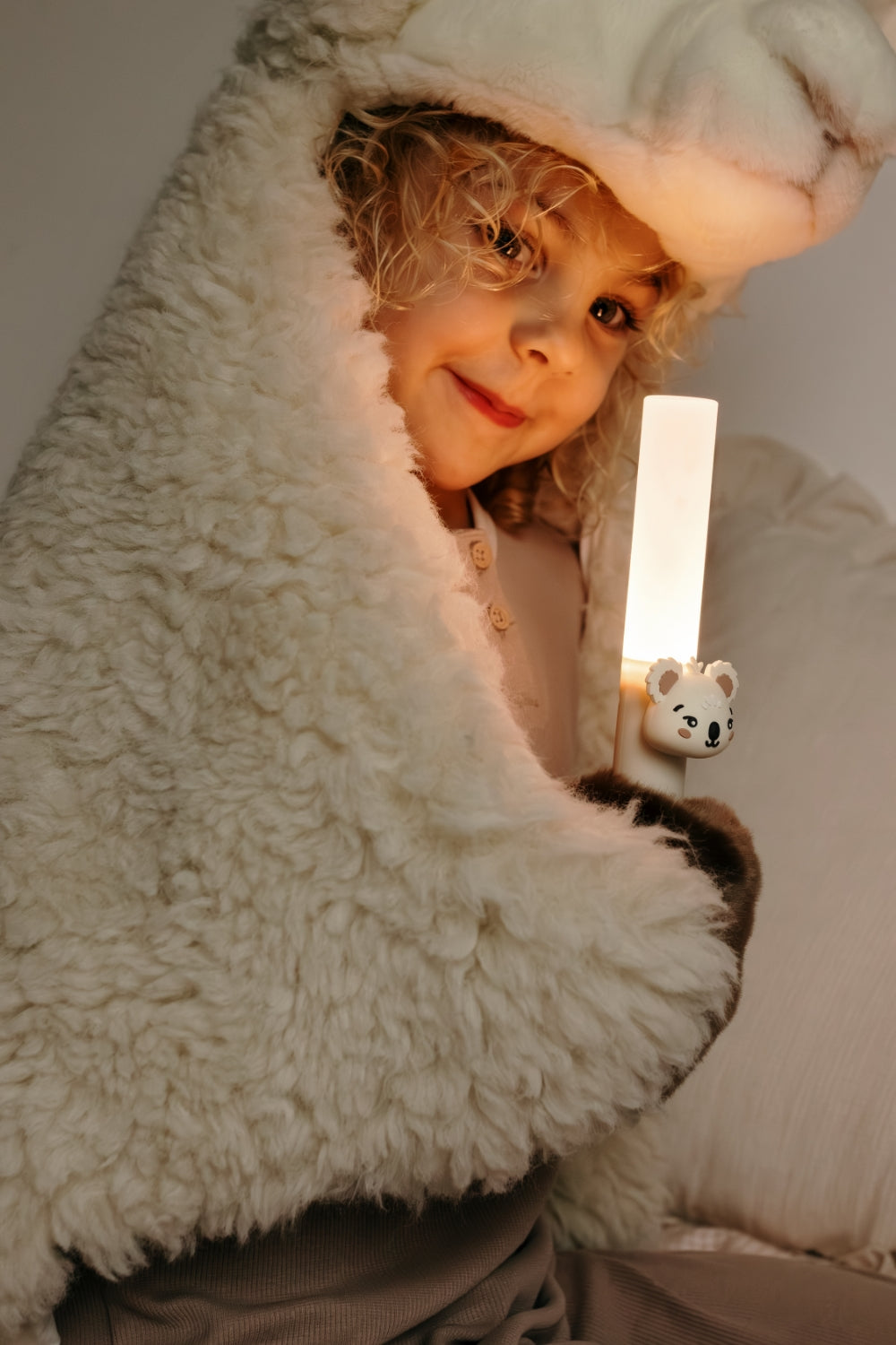 Zoo Light - Koala