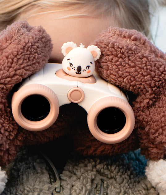 Mini Explorer Kit - Koala